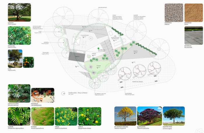 PSG_GO_EP_PC_VEG_R04_A2