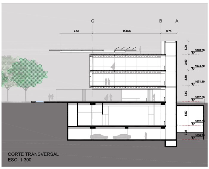 09-corte-transversal_2000