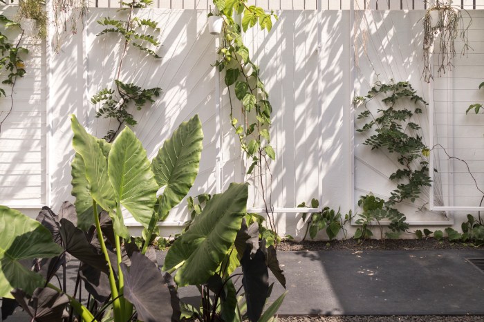 Branco Papel de Parede-17