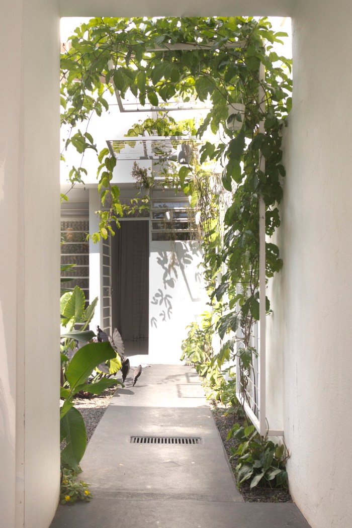 Branco Papel de Parede-20