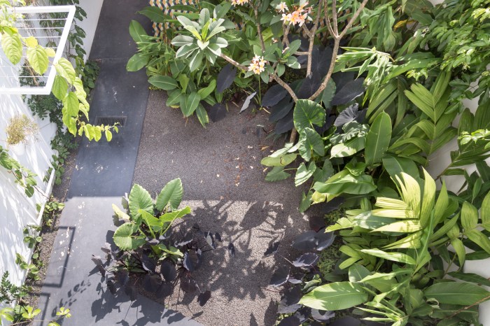 Branco Papel de Parede-21