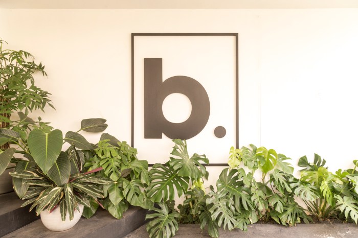 Branco Papel de Parede-7