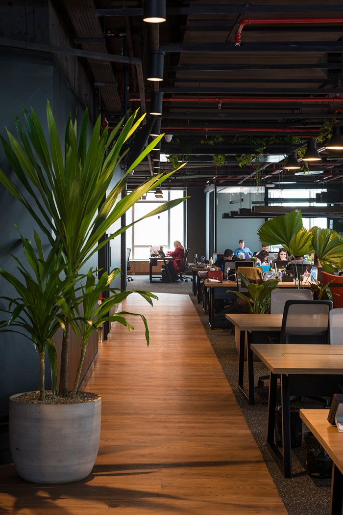 ManuOristanio_DSC_0458