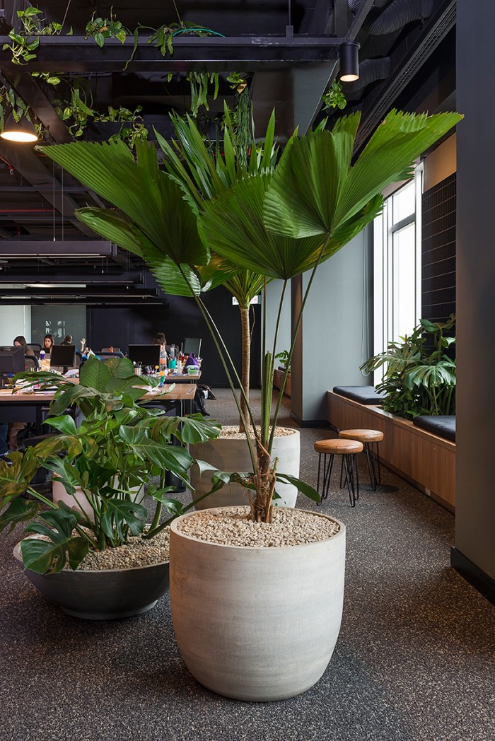 ManuOristanio_DSC_0475