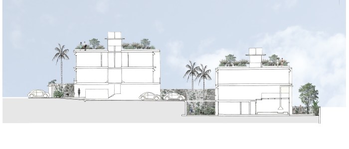 Corte longitudinal_PP